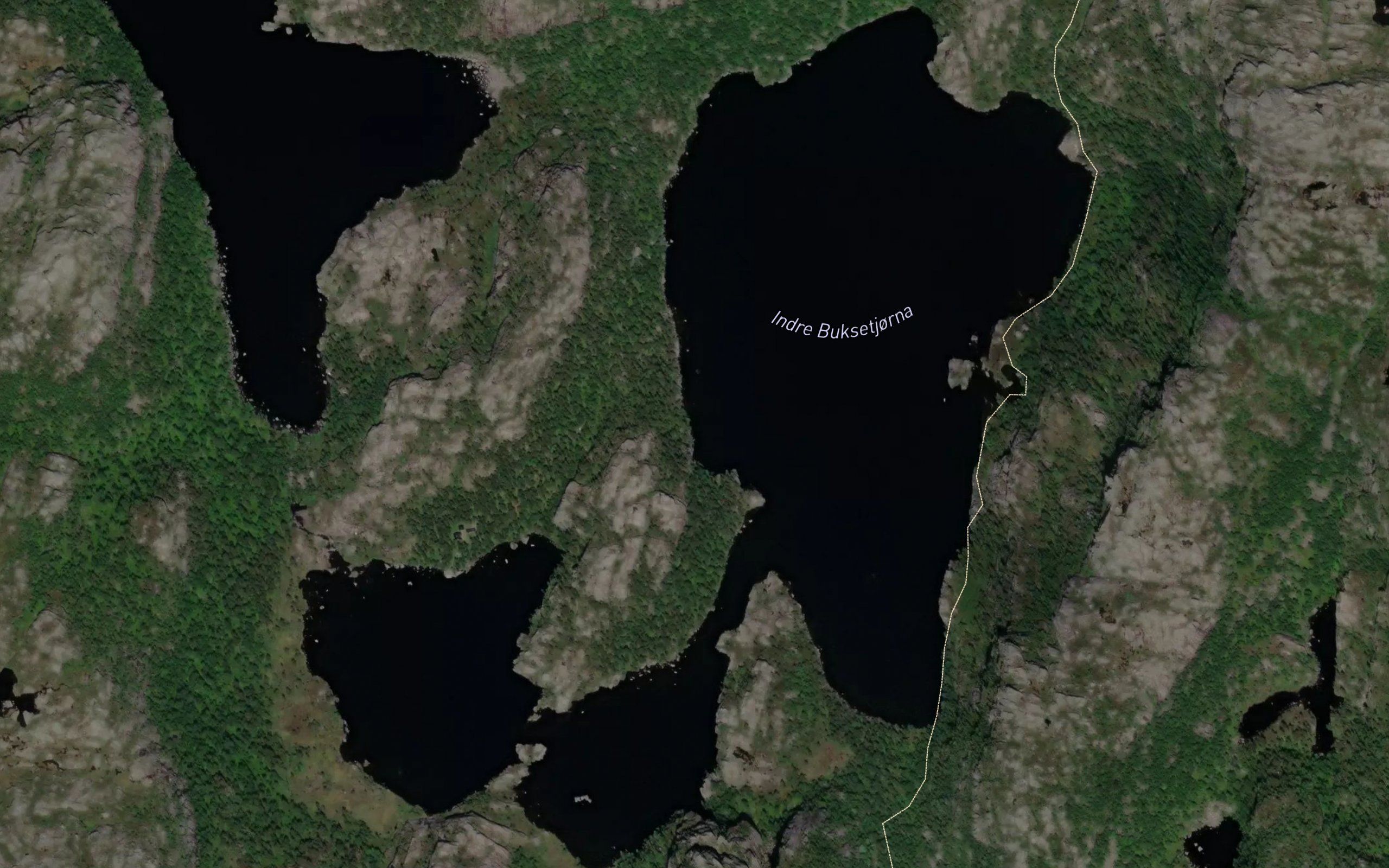 Buksetjorna,ovre