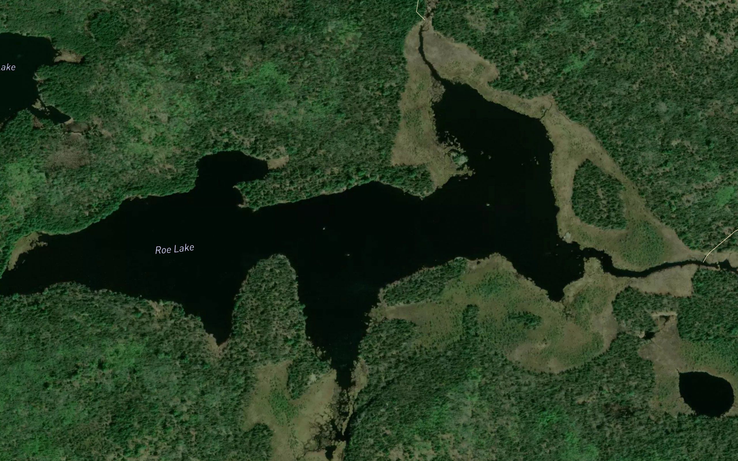 Roe Lake