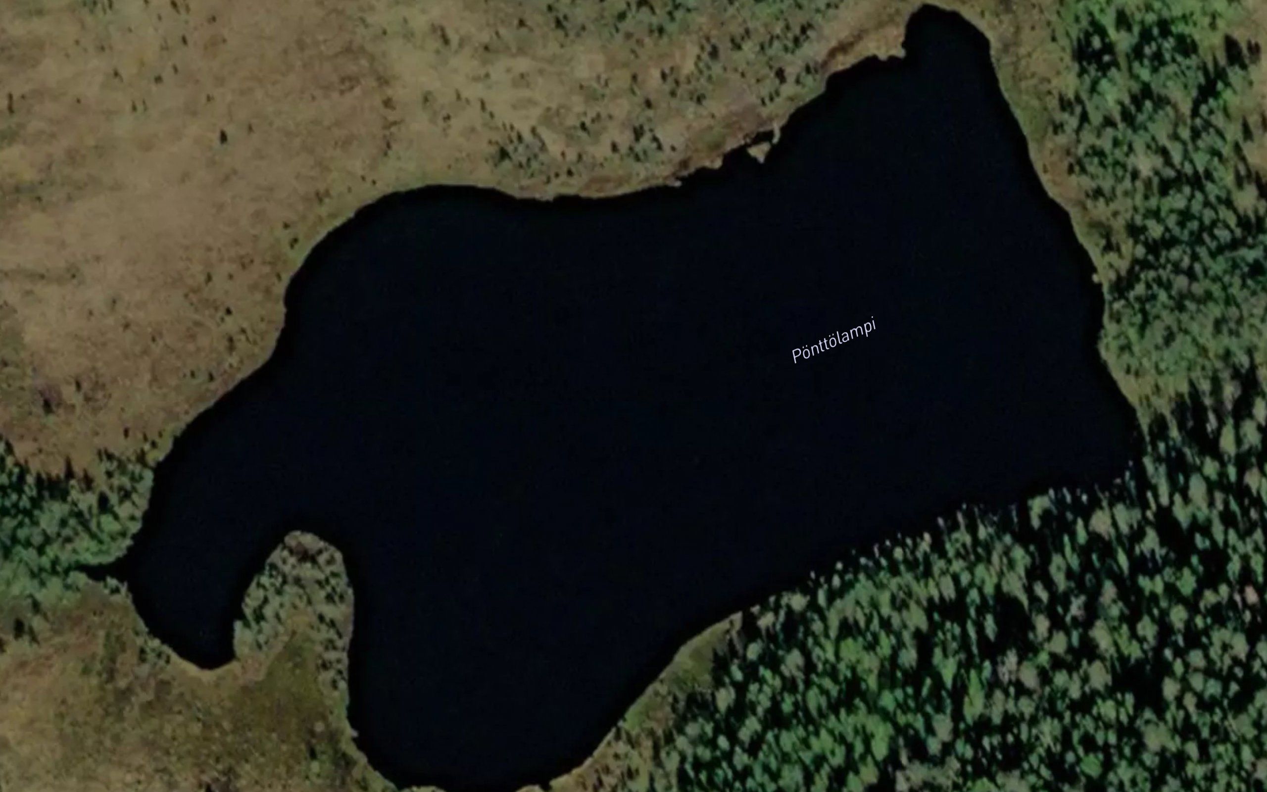 Ponttolampi