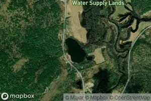Davis Pond