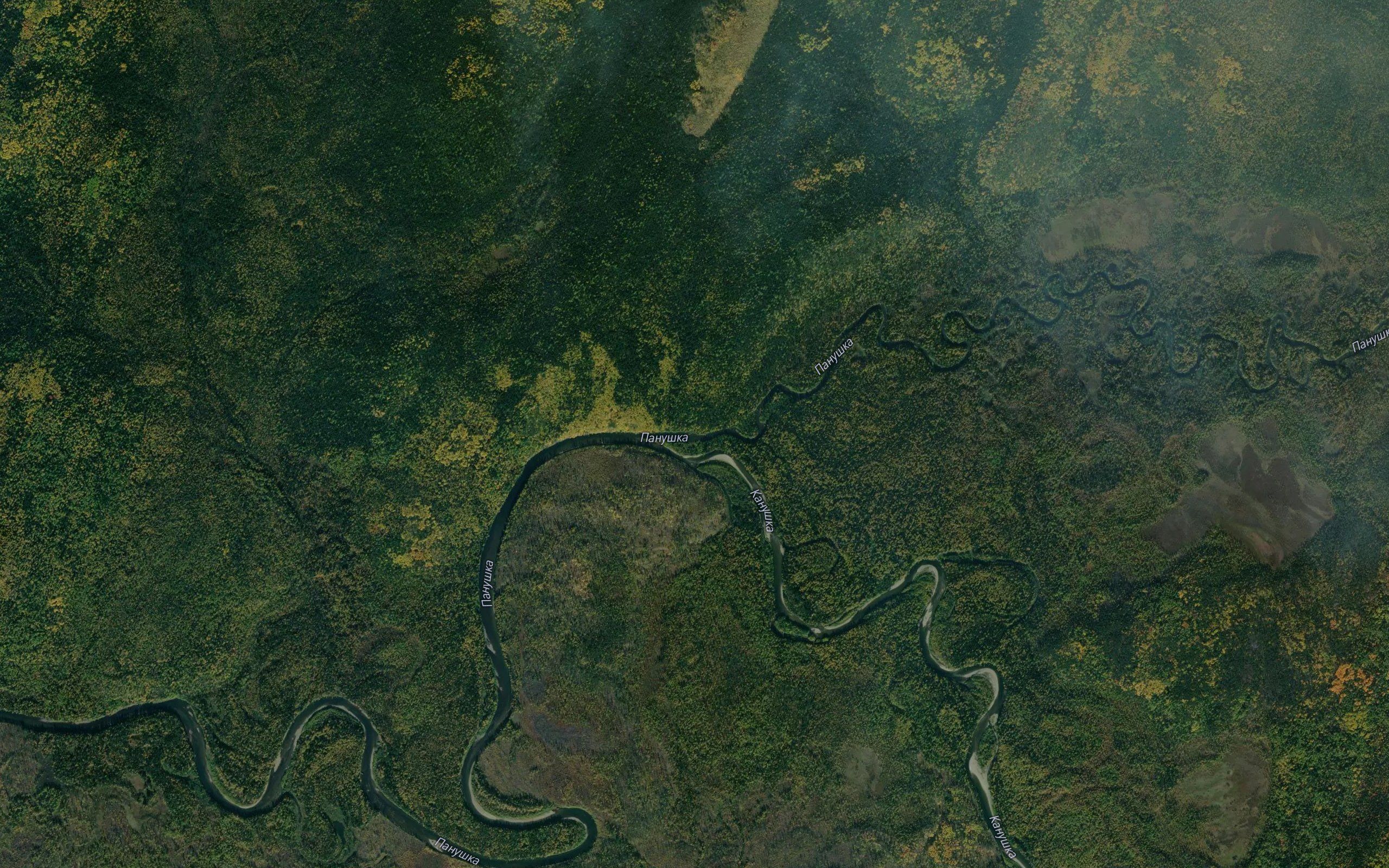 Kanushka