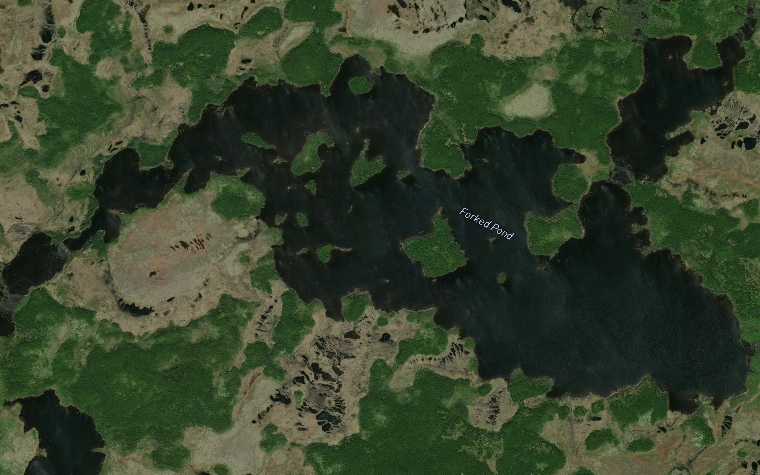 Forked Pond