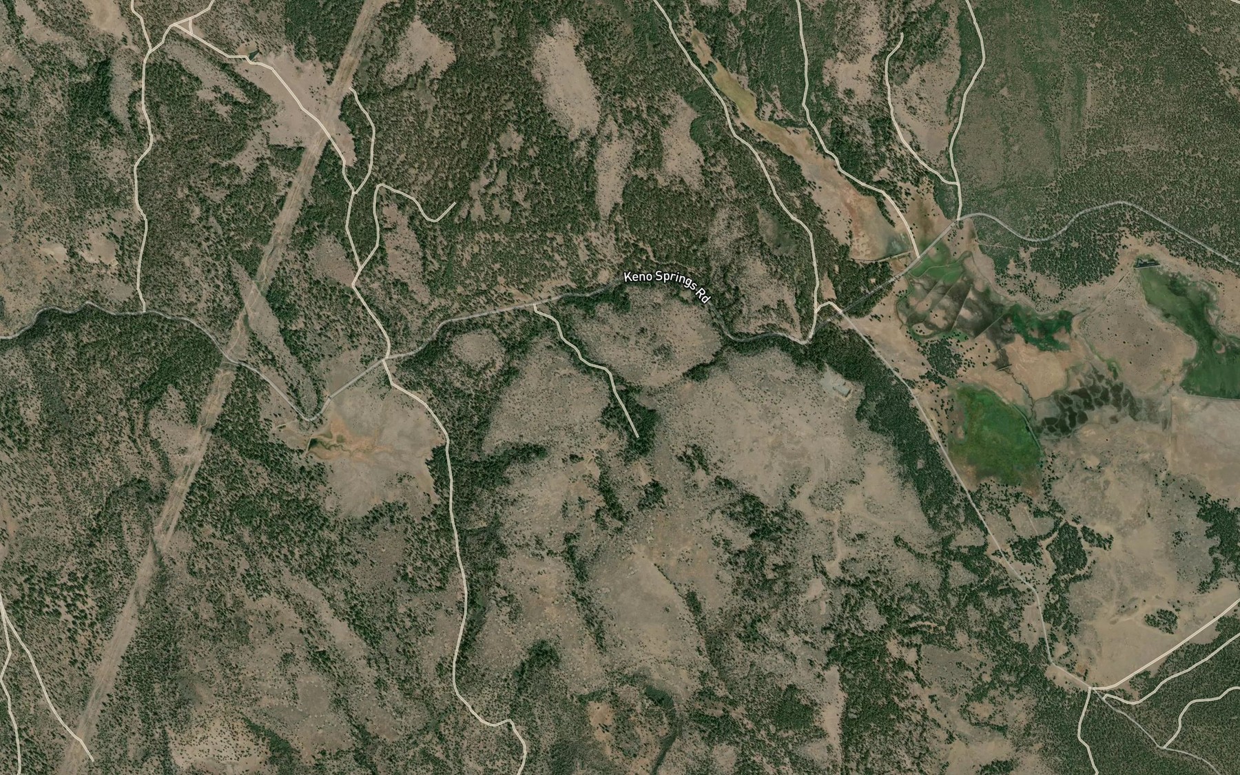 Satellite map of the Rocky Pond