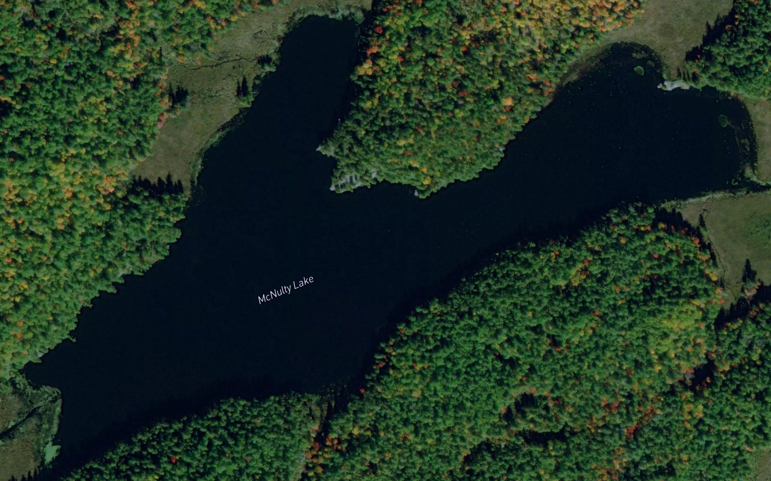 McNulty Lake