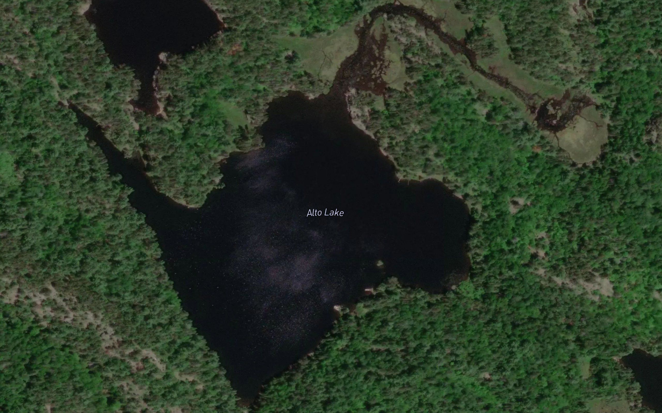 Alto Lake