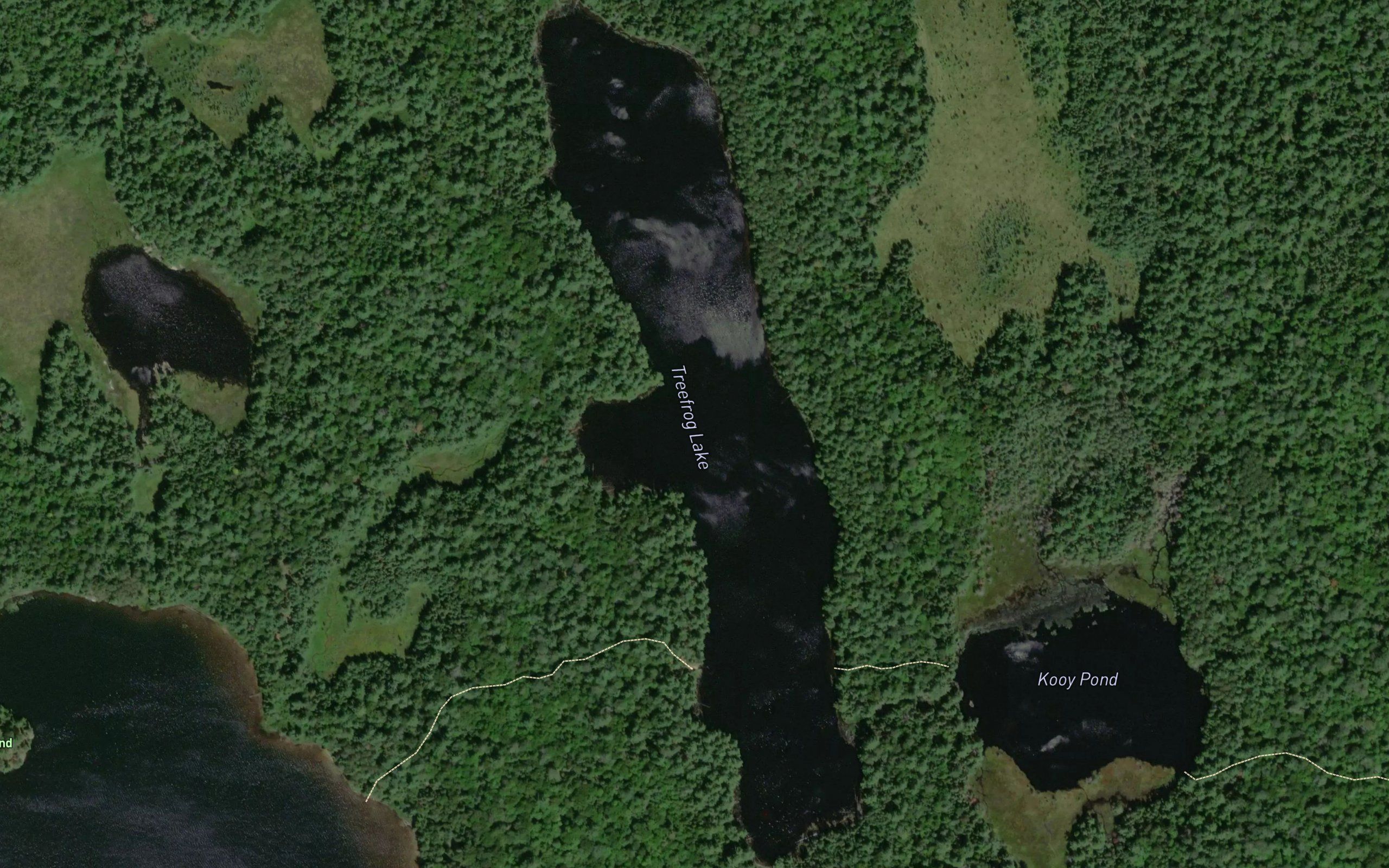 Treefrog Lake