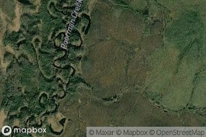 Gentian Creek