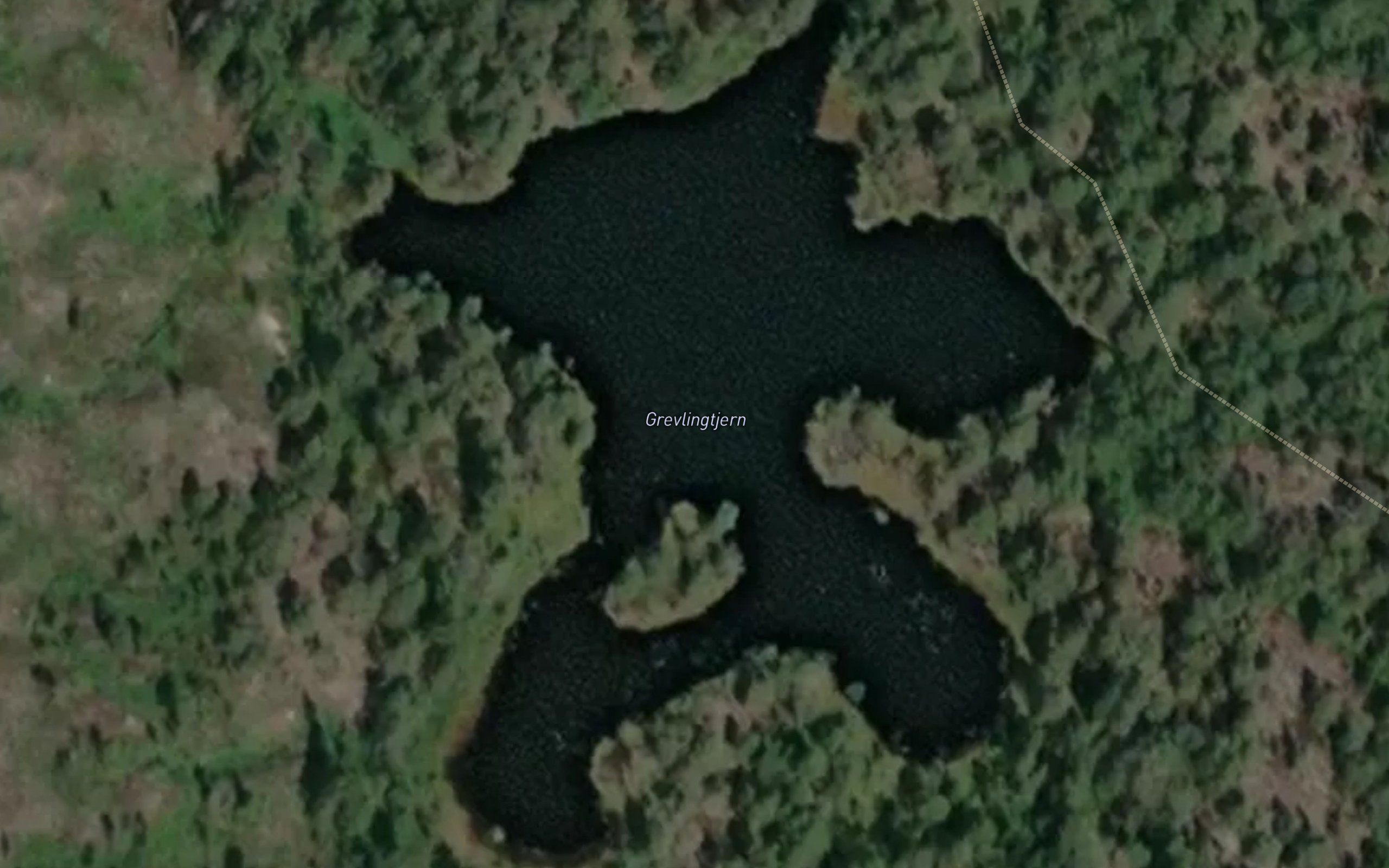 Grevlingtjern