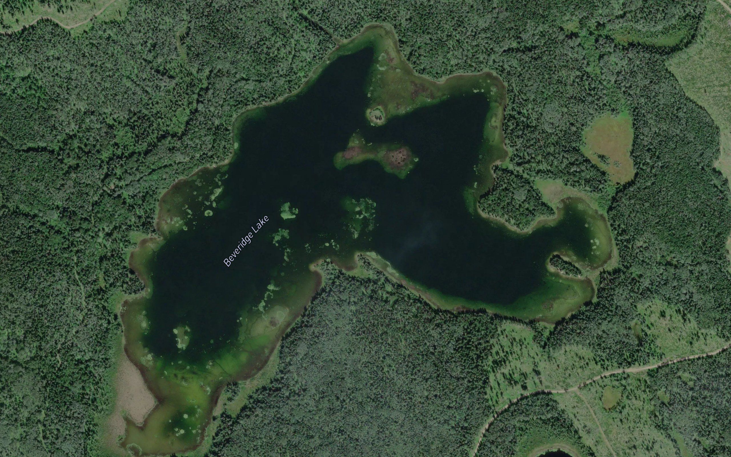 Beveridge Lake