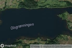 Orsgronningen