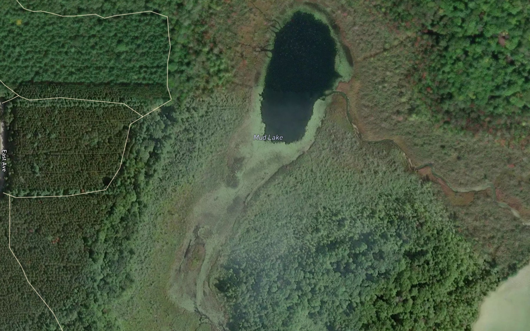Satellite map of the Mud Lake
