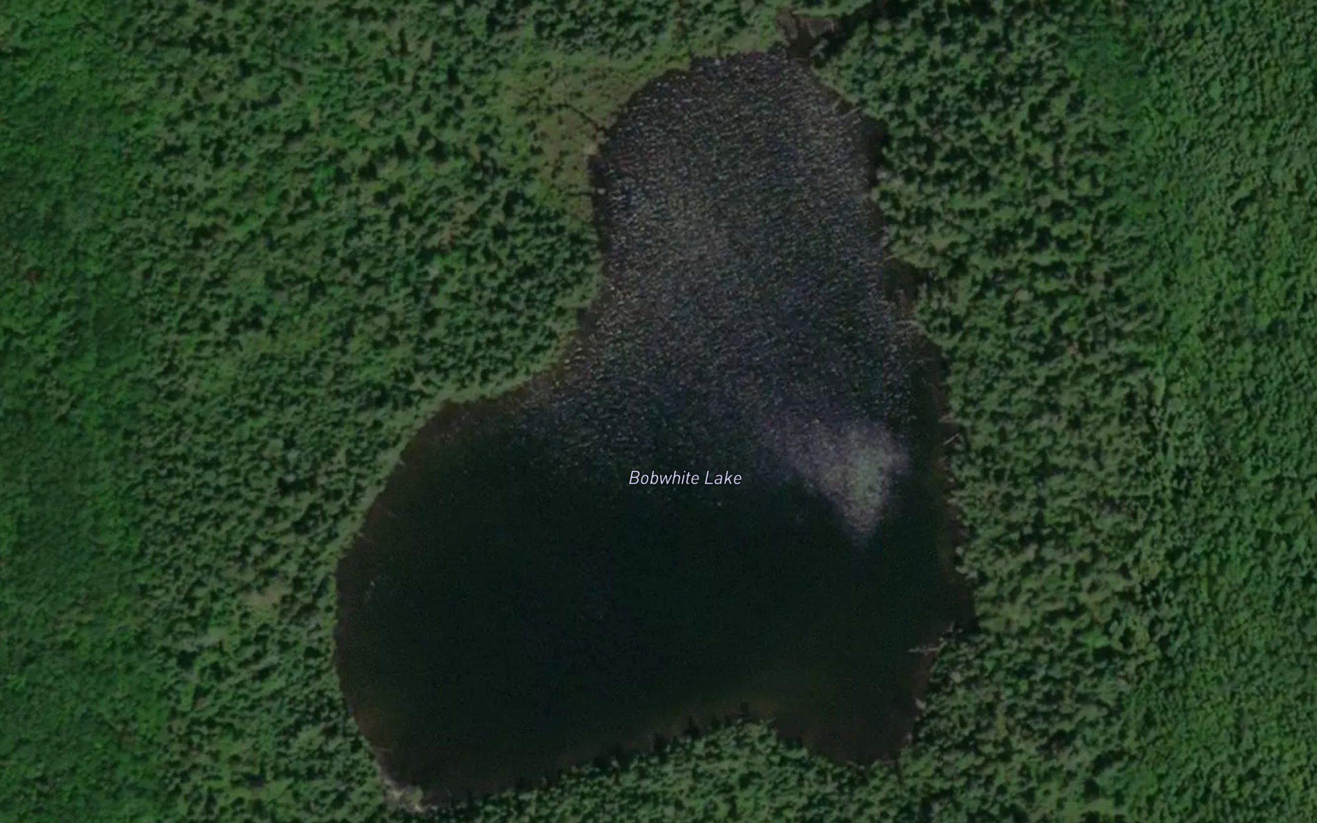 Bobwhite Lake