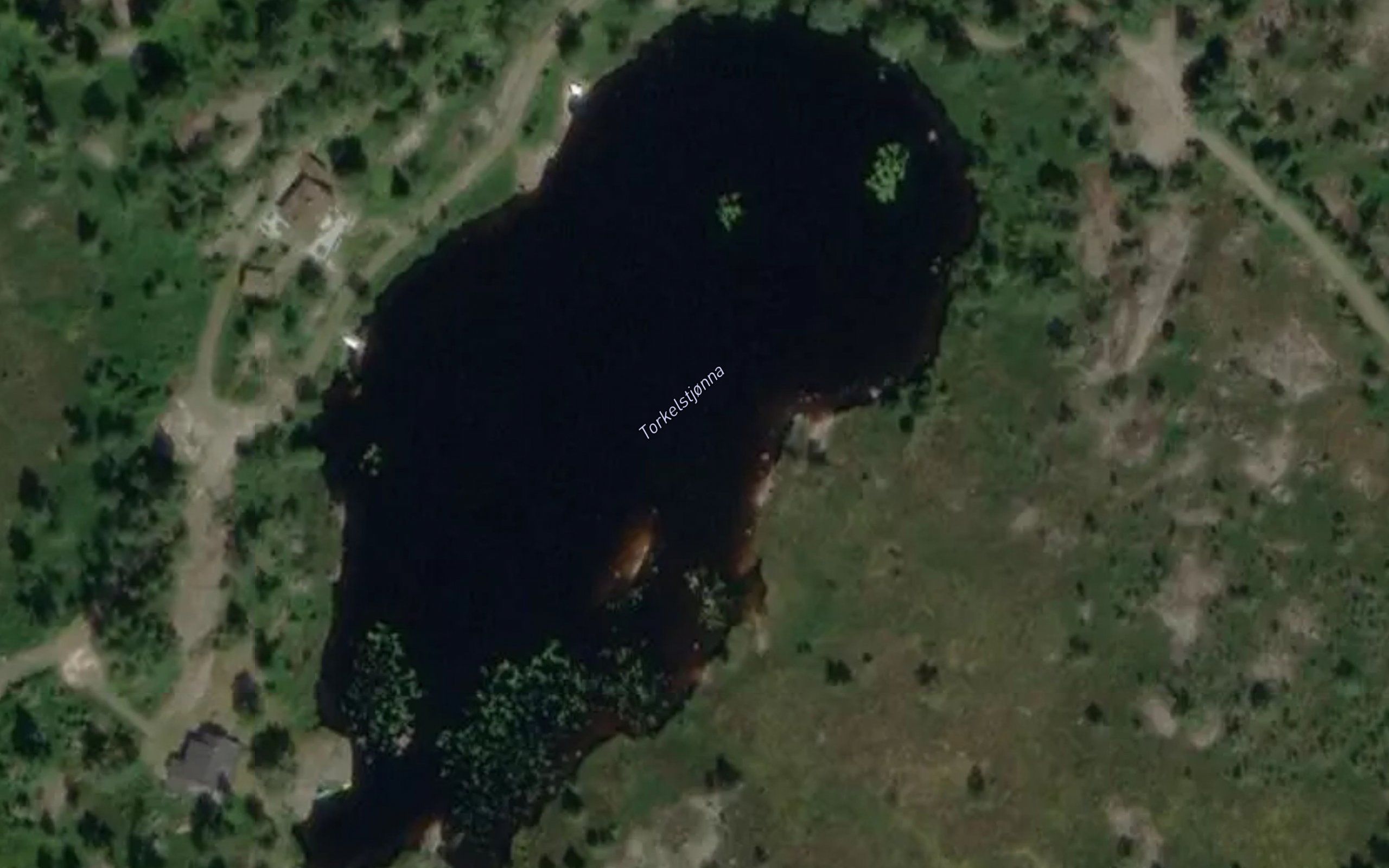 Torkelstjonna