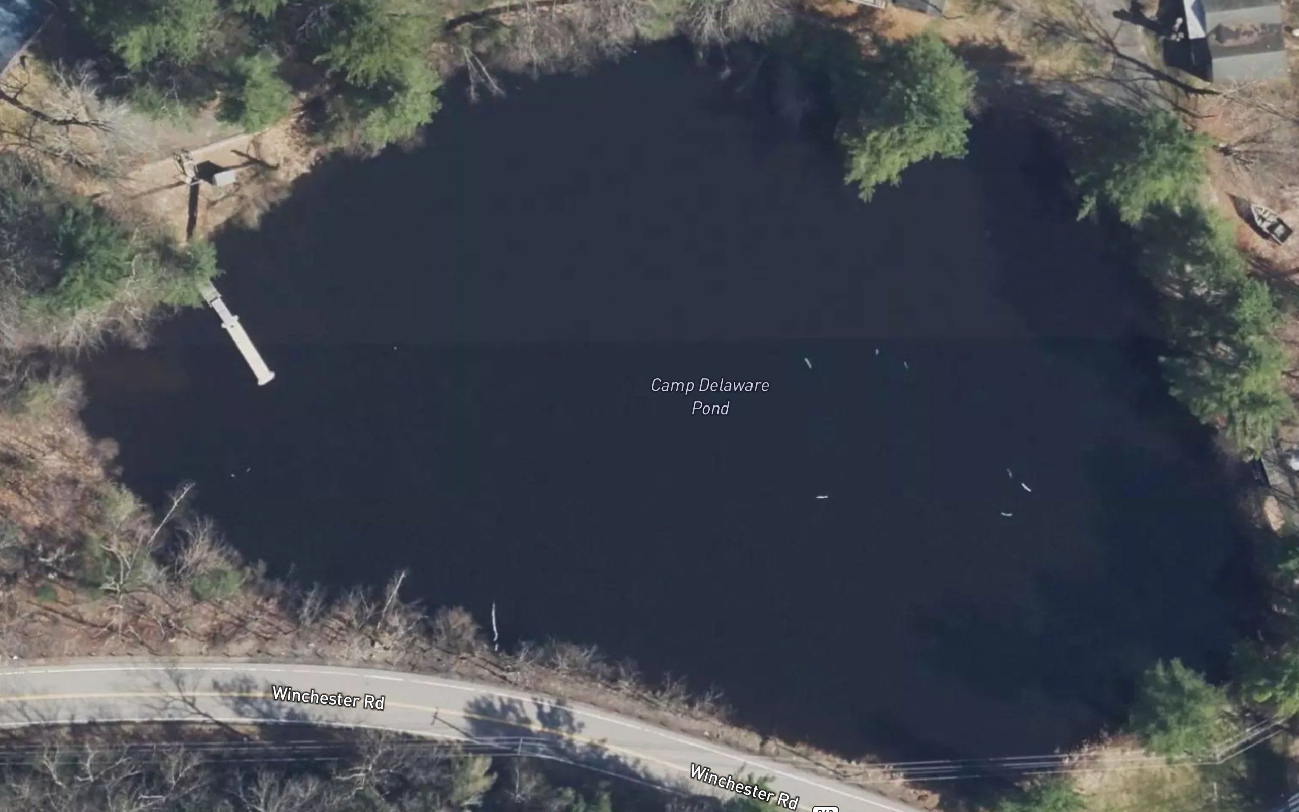 Camp Delaware Pond