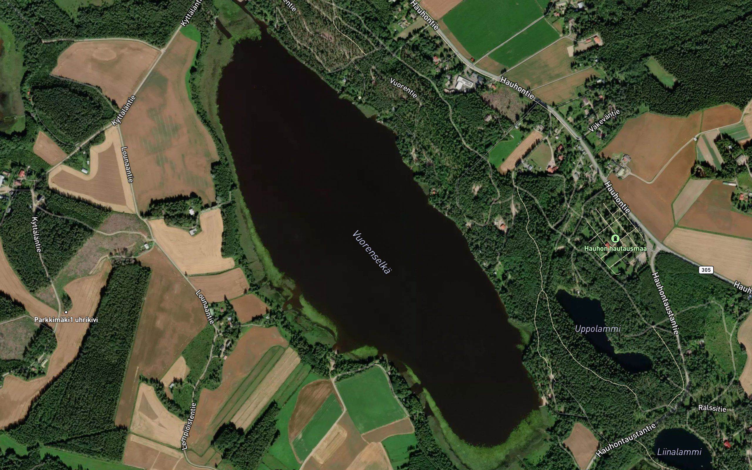 Vuorenselka