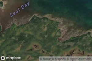 Seal Bay