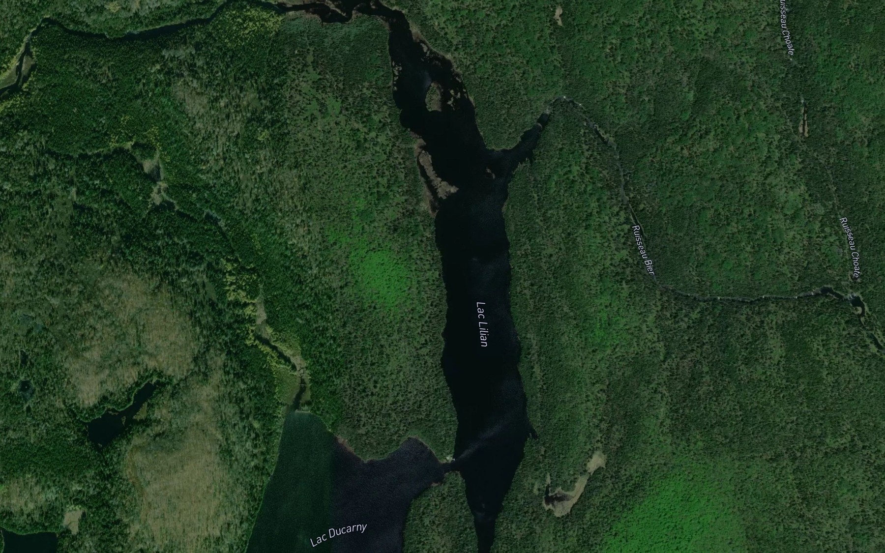 Satellite map of the Lac Lilian