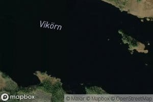 Vikoern
