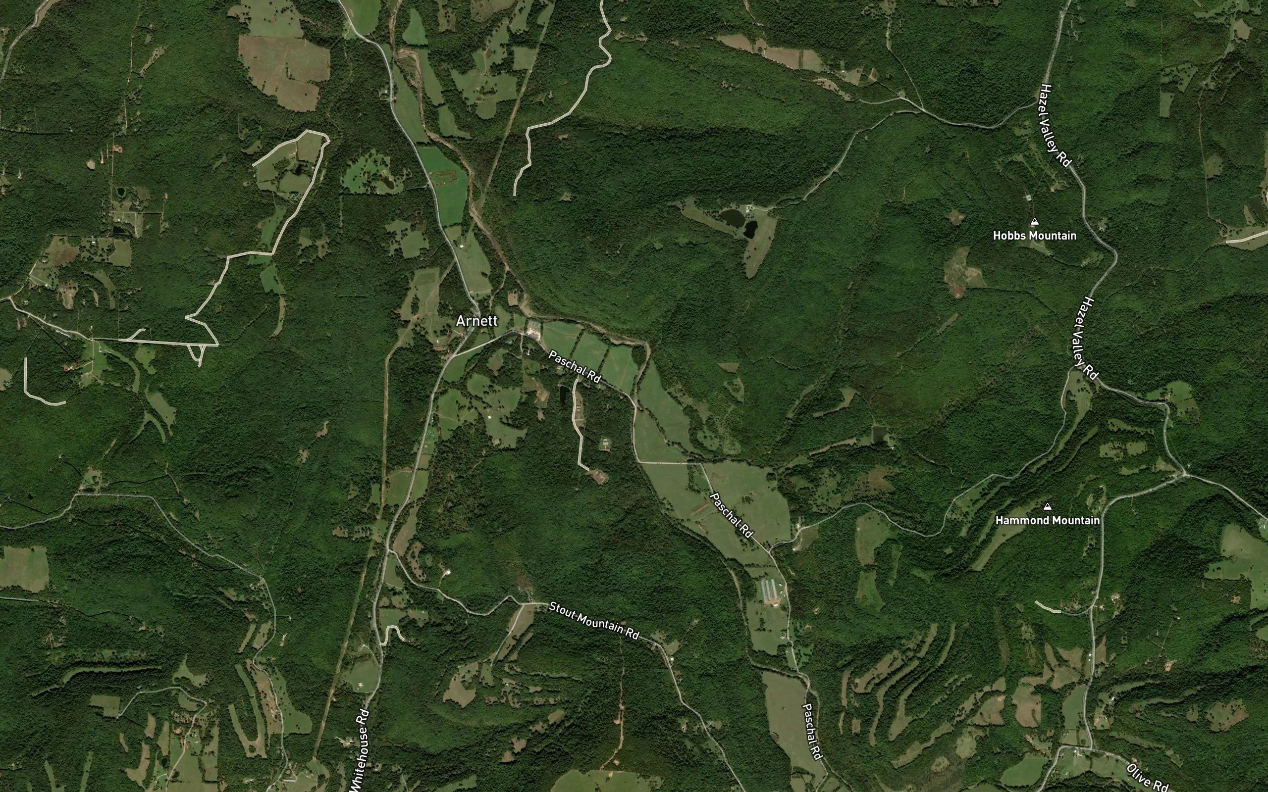 John Turner Fork