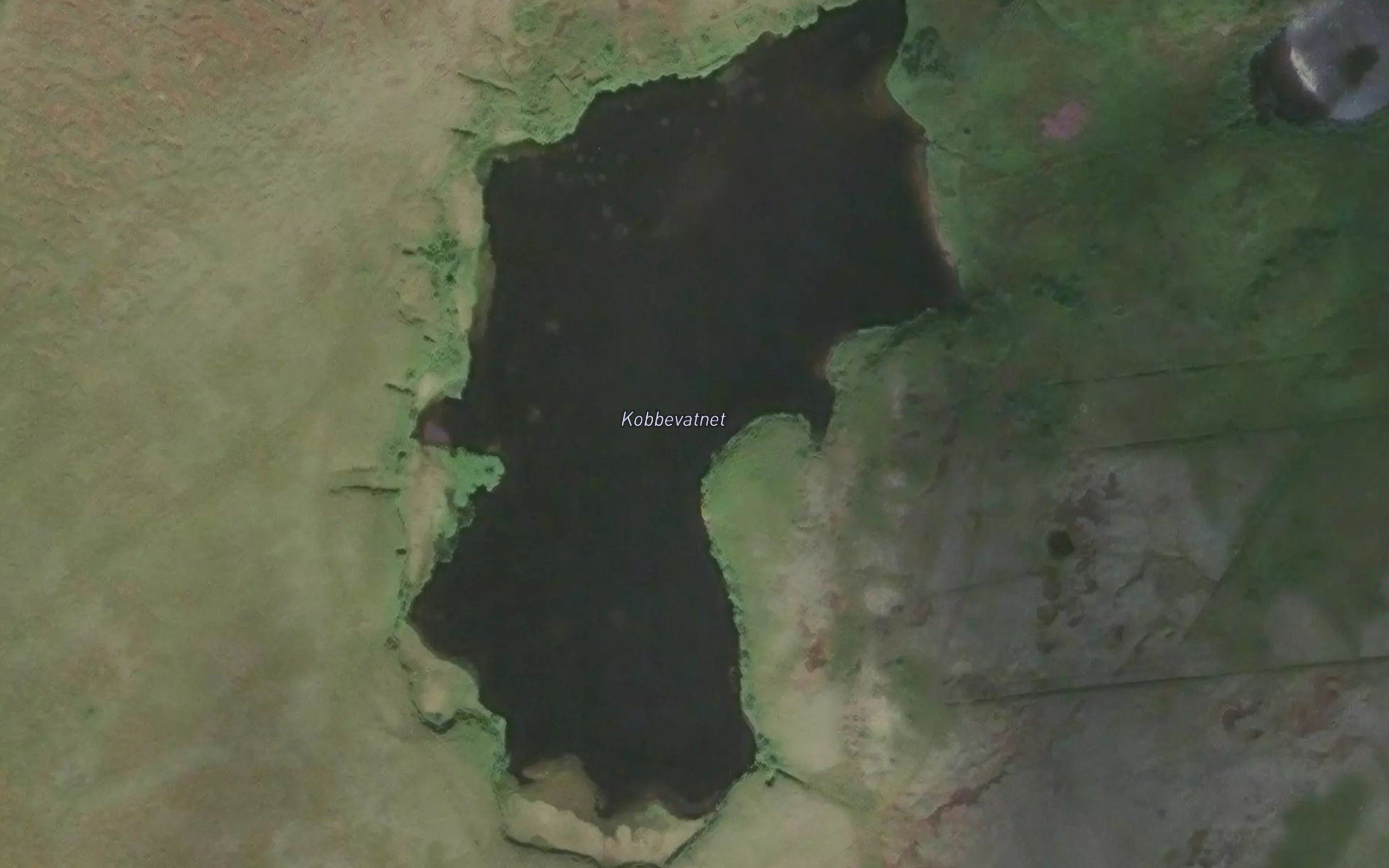 Kobbevatnet