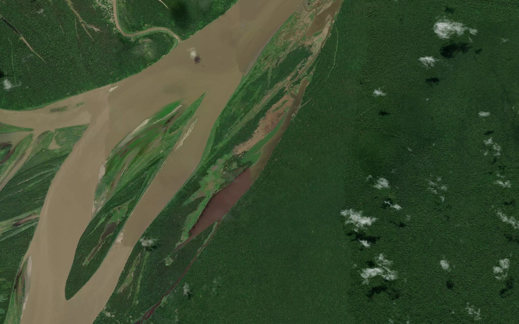 Satellite map of the Lago Tauari