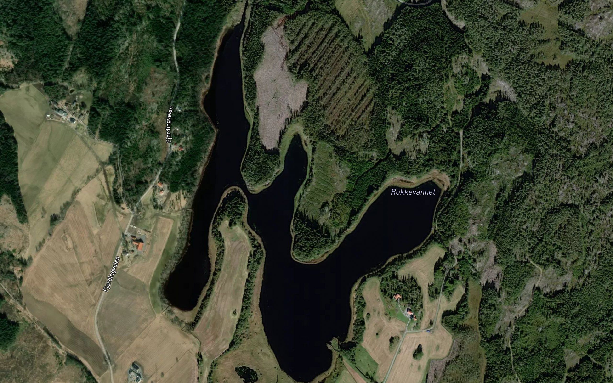 Rokkevannet