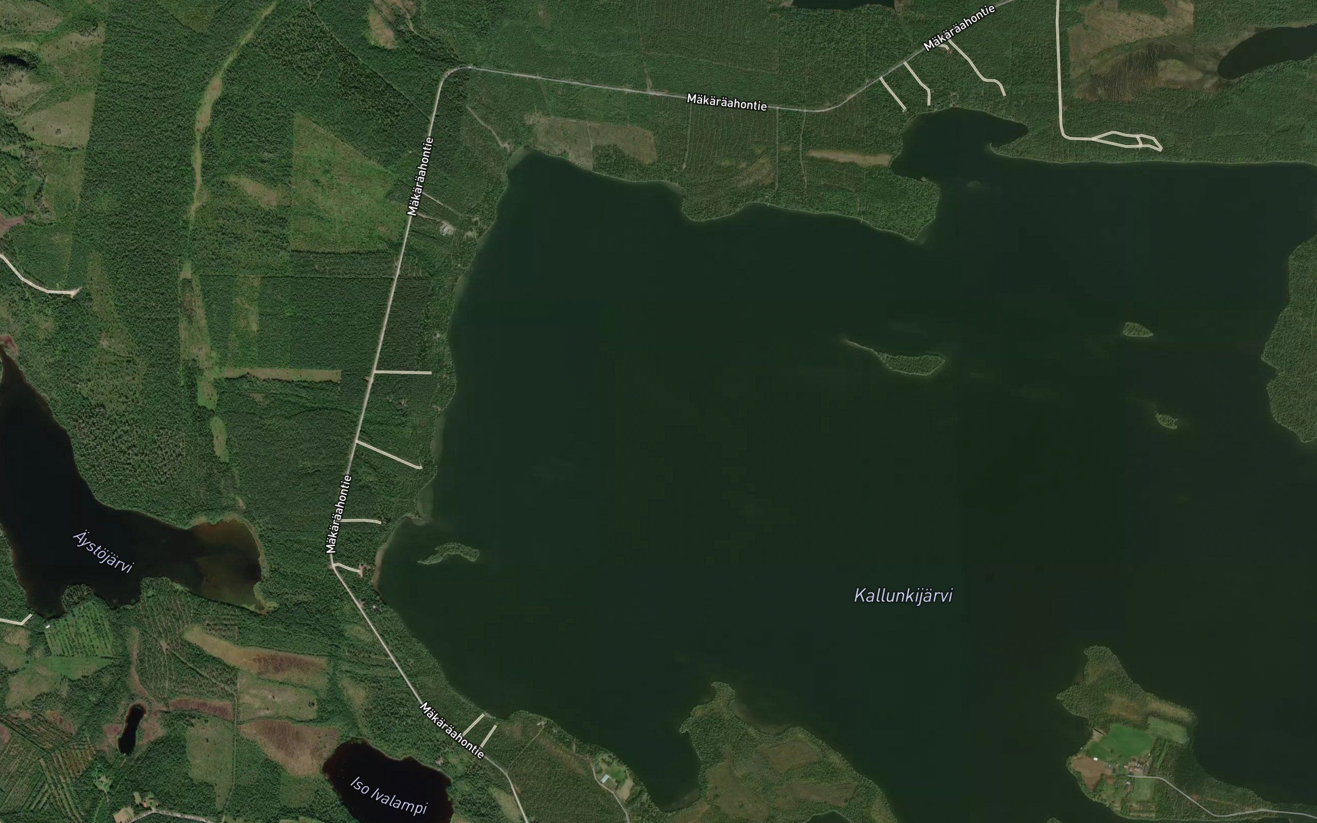 Kallunginselka