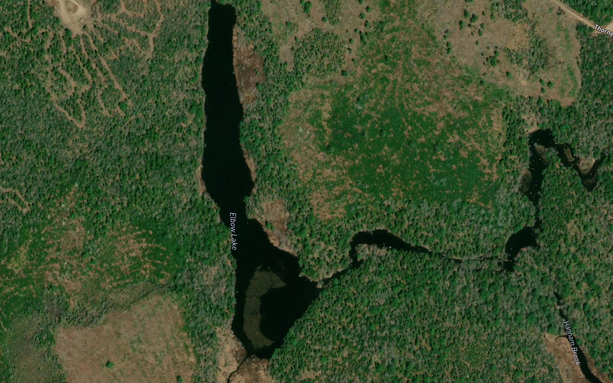 Elbow Lake
