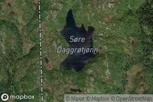 Daggrotjorni,s