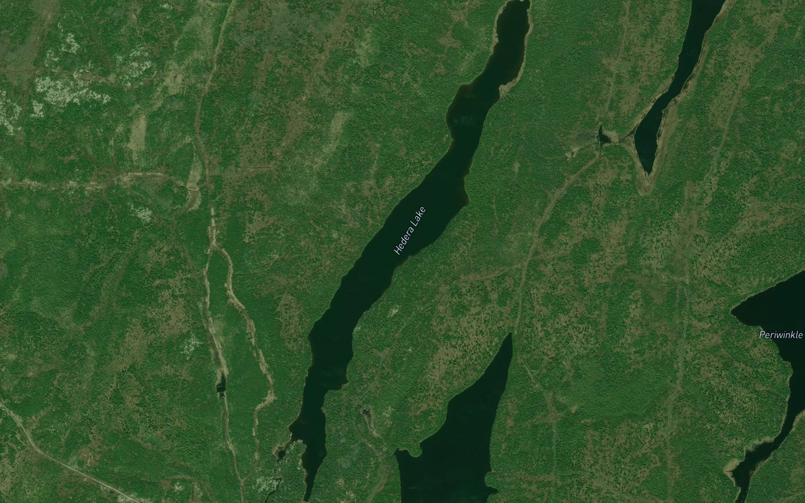 Hedera Lake