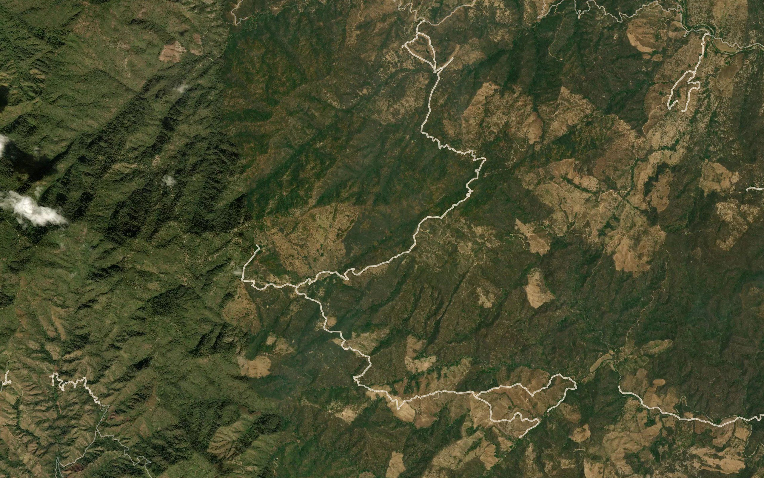 Barranca El Palmarito