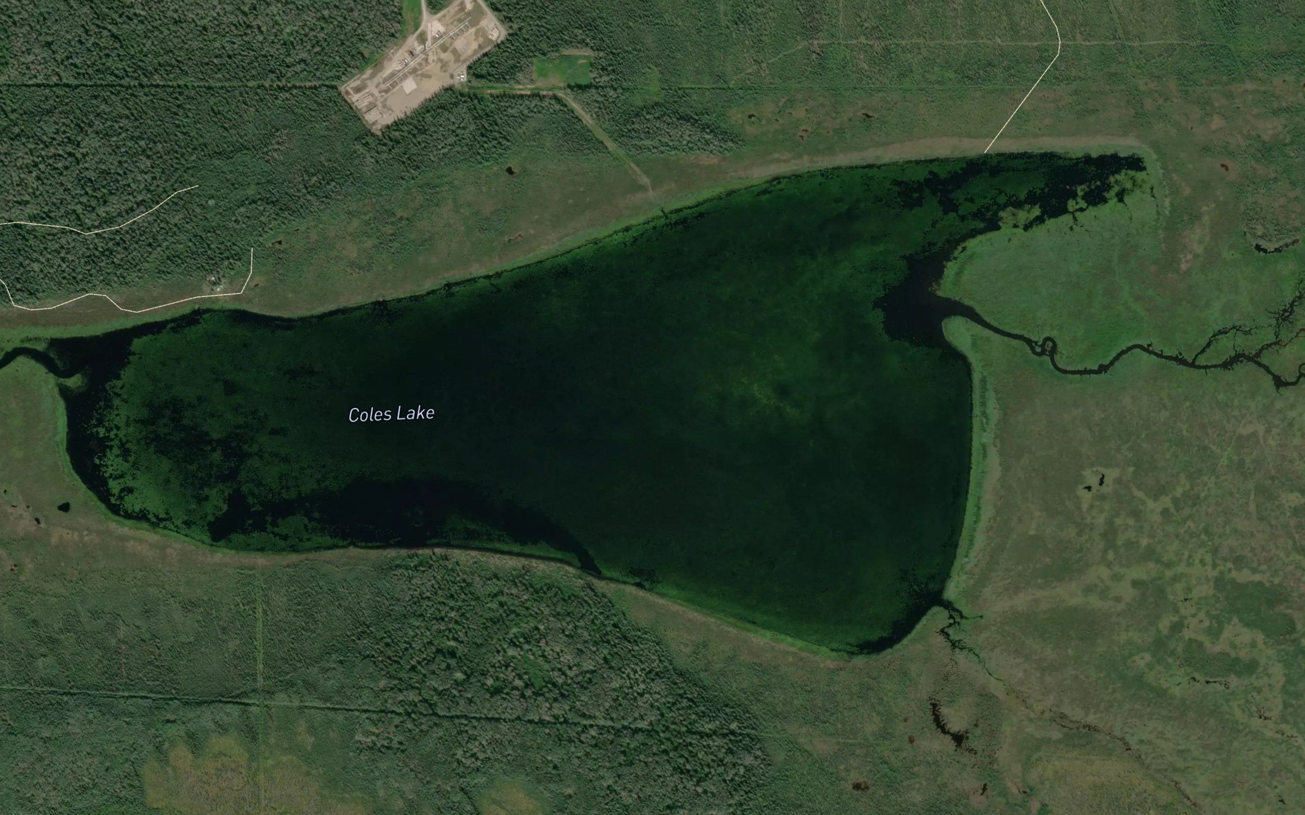 Coles Lake