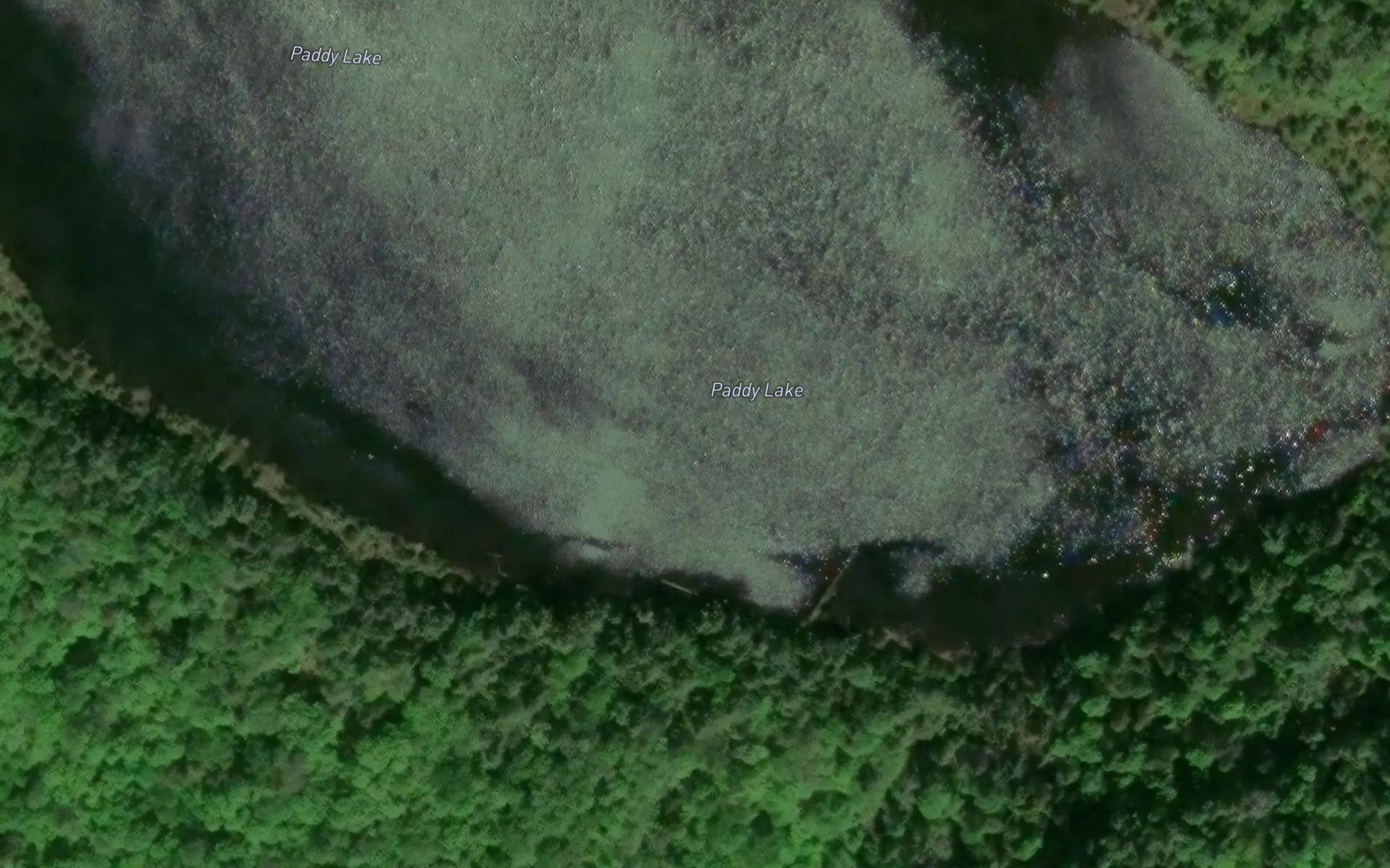 Paddy Lake