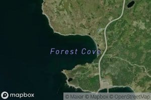 Forest Cove