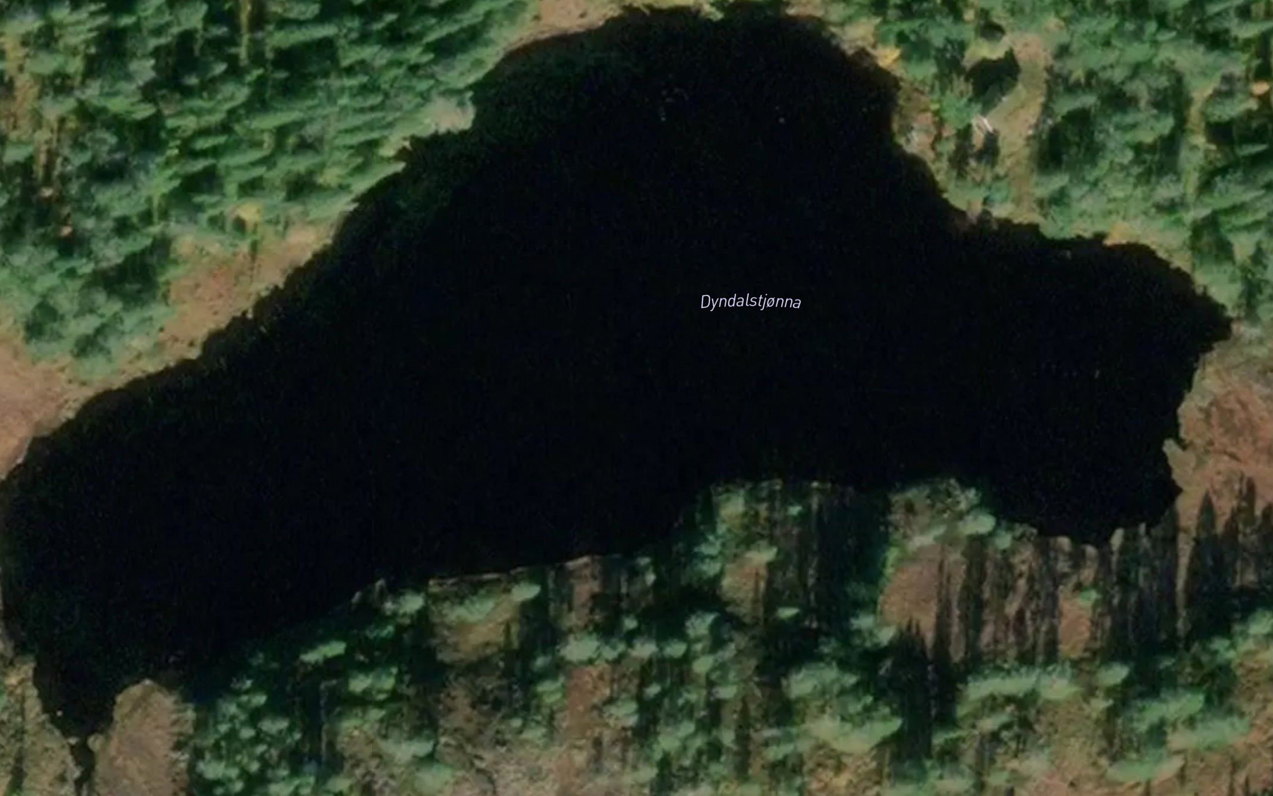 Dyndalstjorna