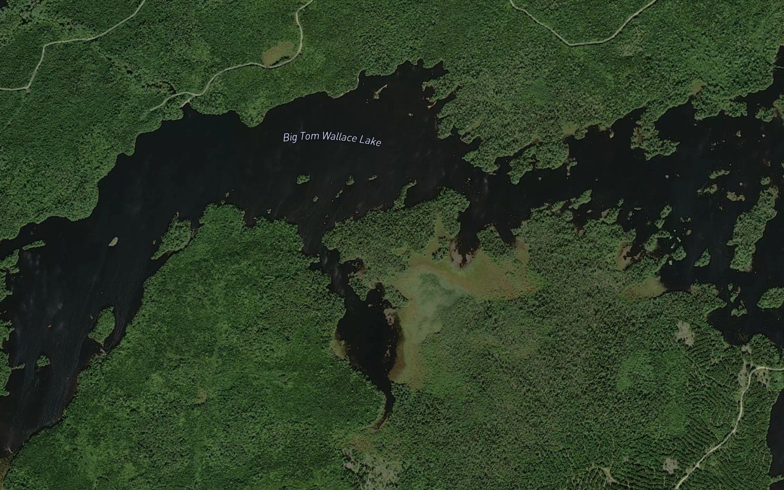 Big Tom Wallace Lake