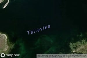 Tallevika