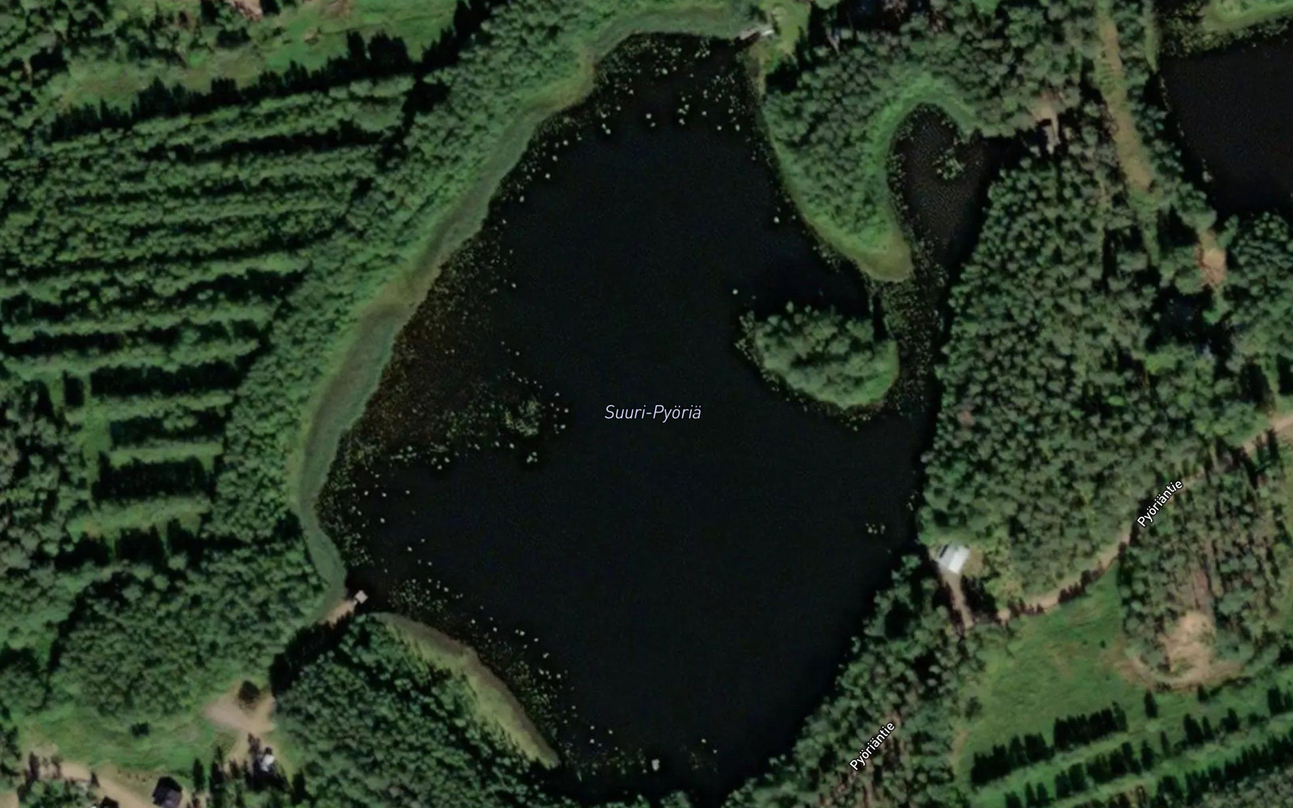 Suuri-Pyoria