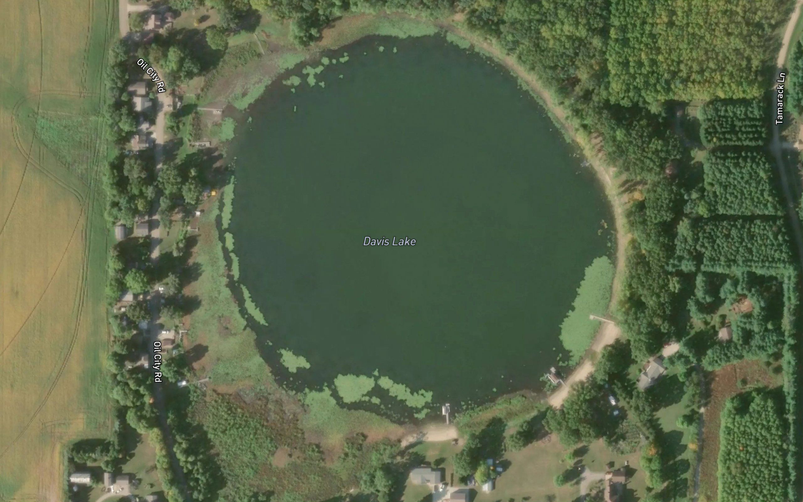 Davis Lake