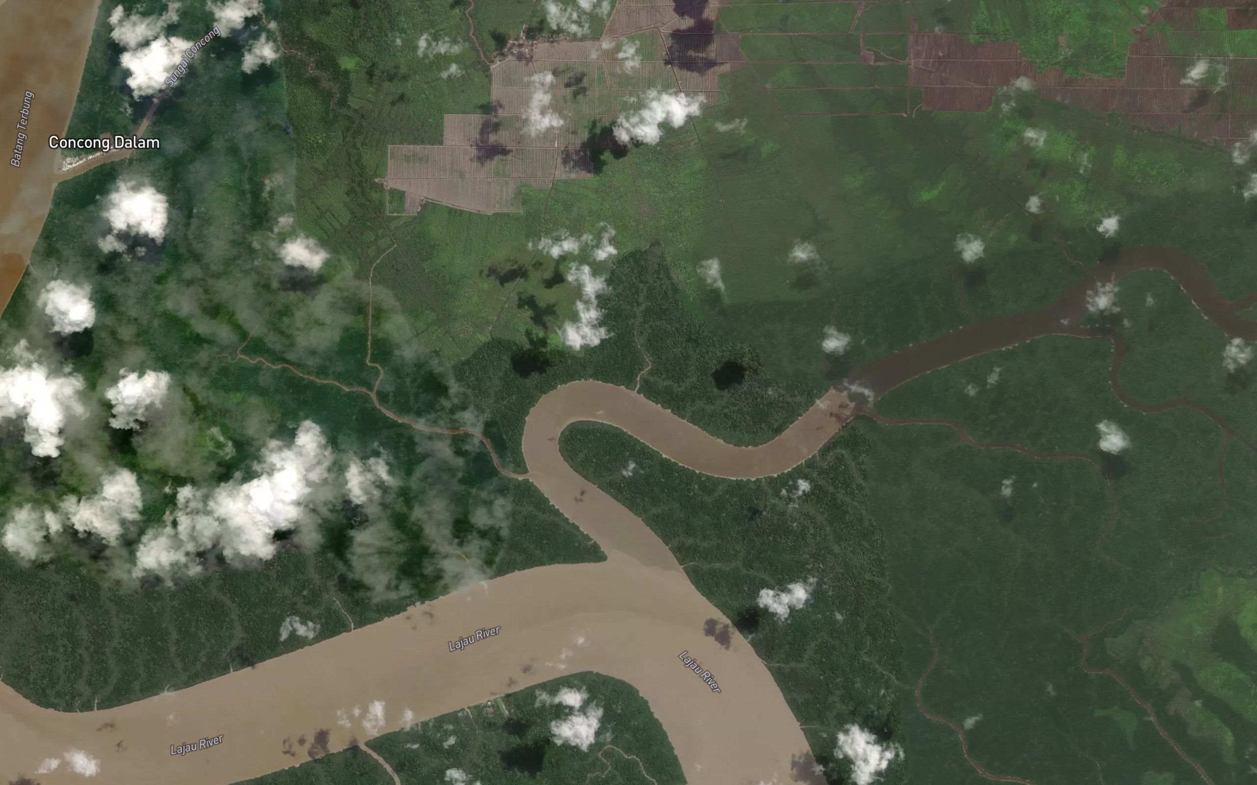 Sungai Jelutung