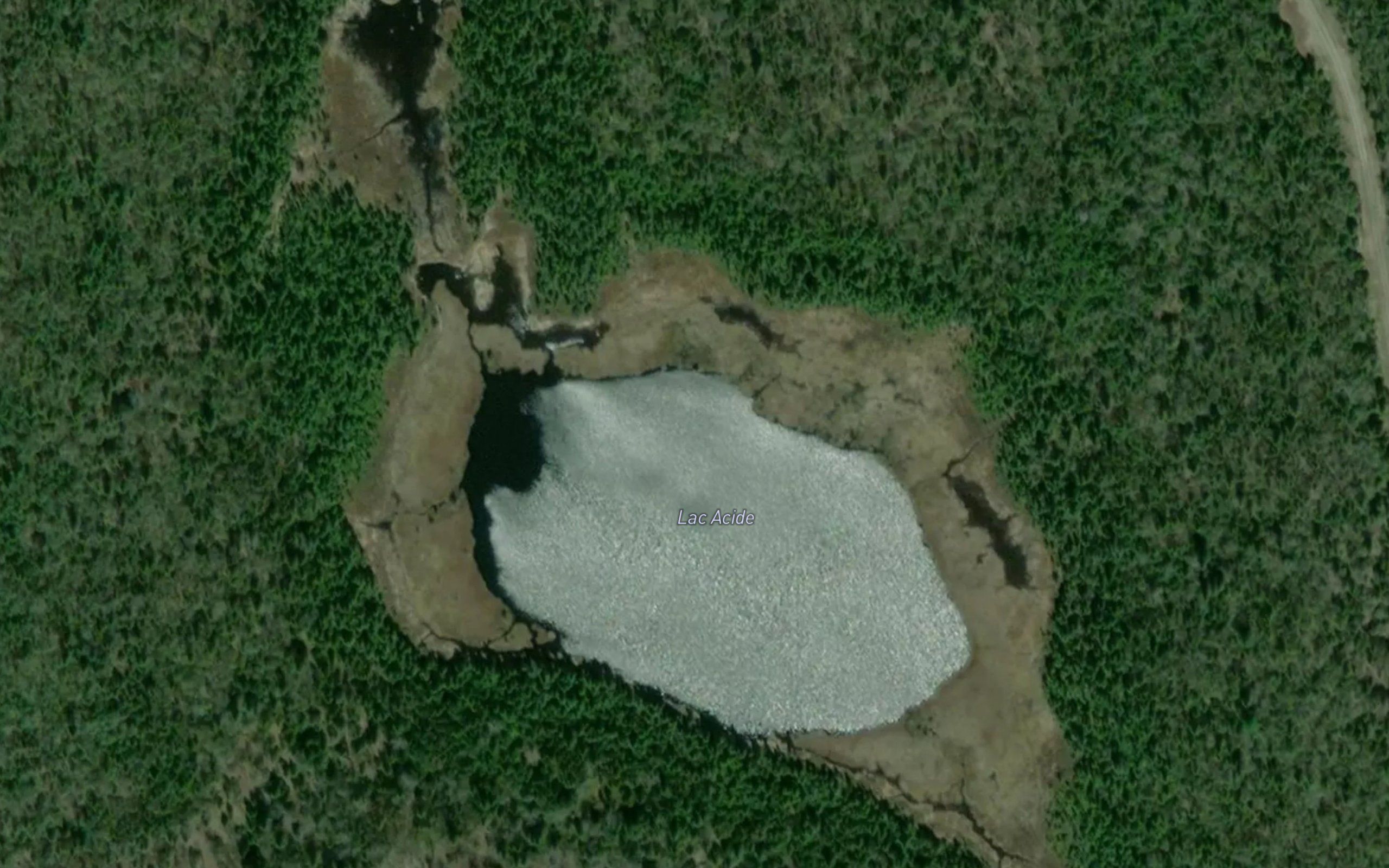 Lac Acide