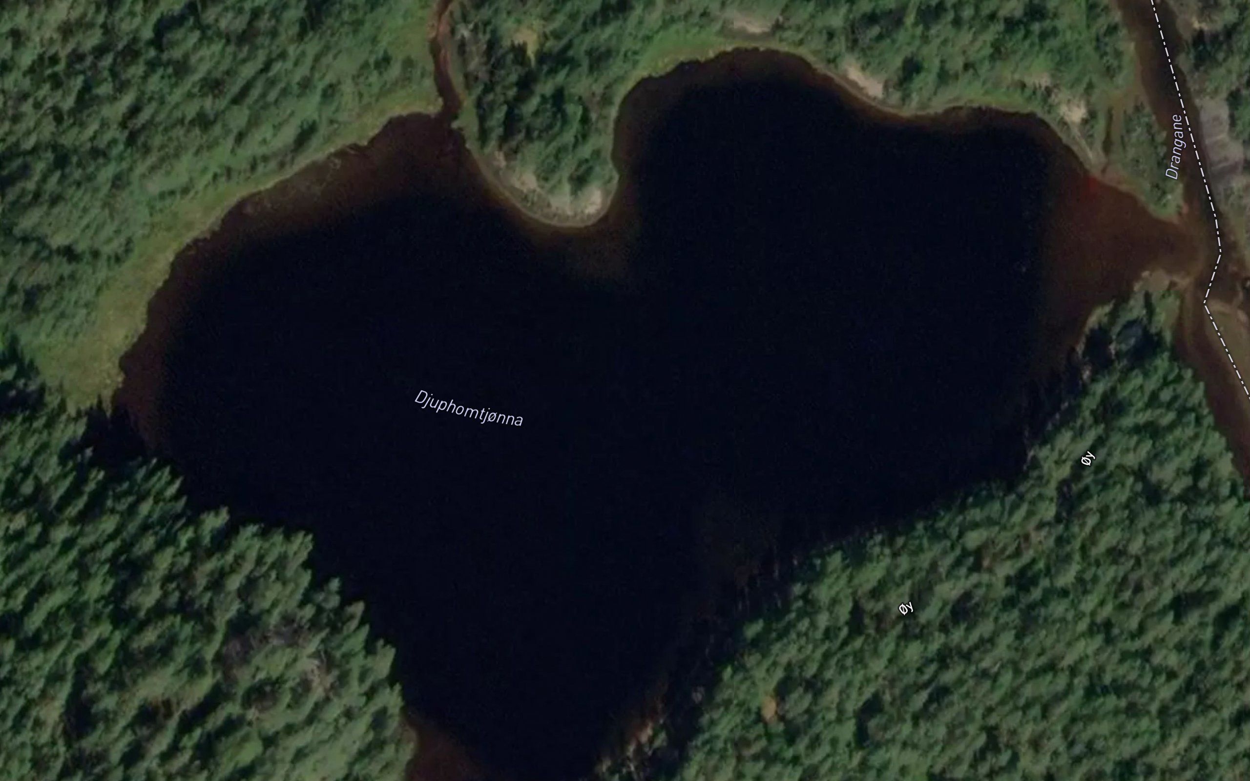 Djuphomtjorna