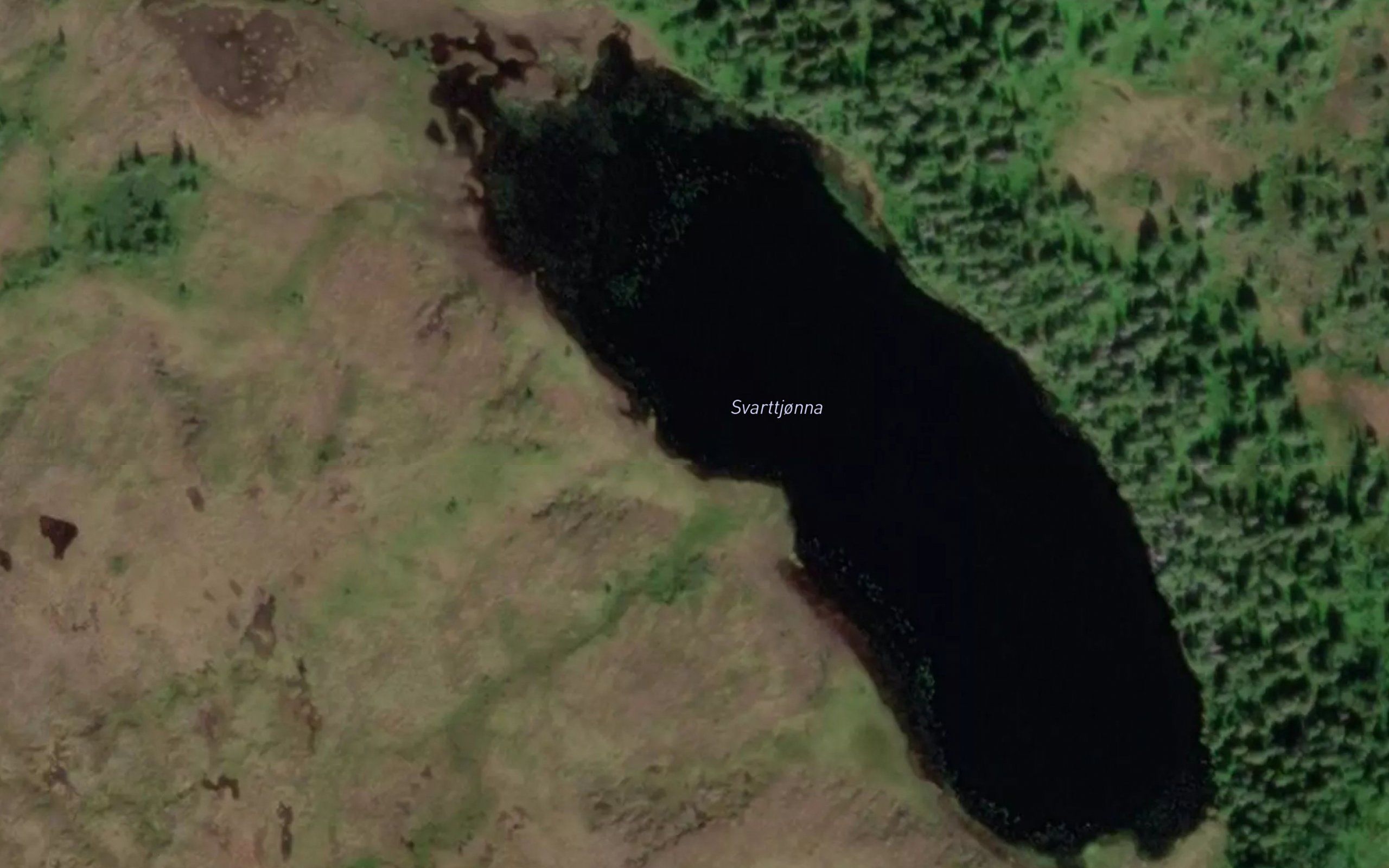Svarttjorna