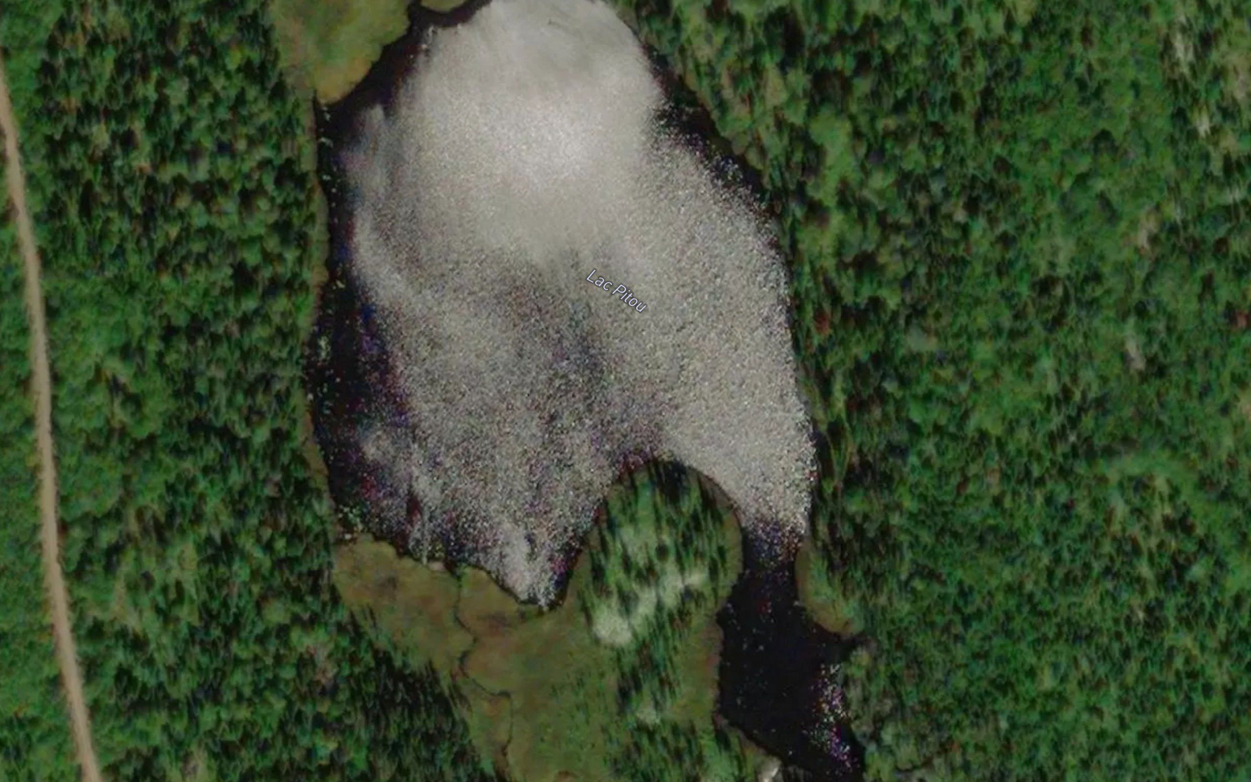 Lac Pitou