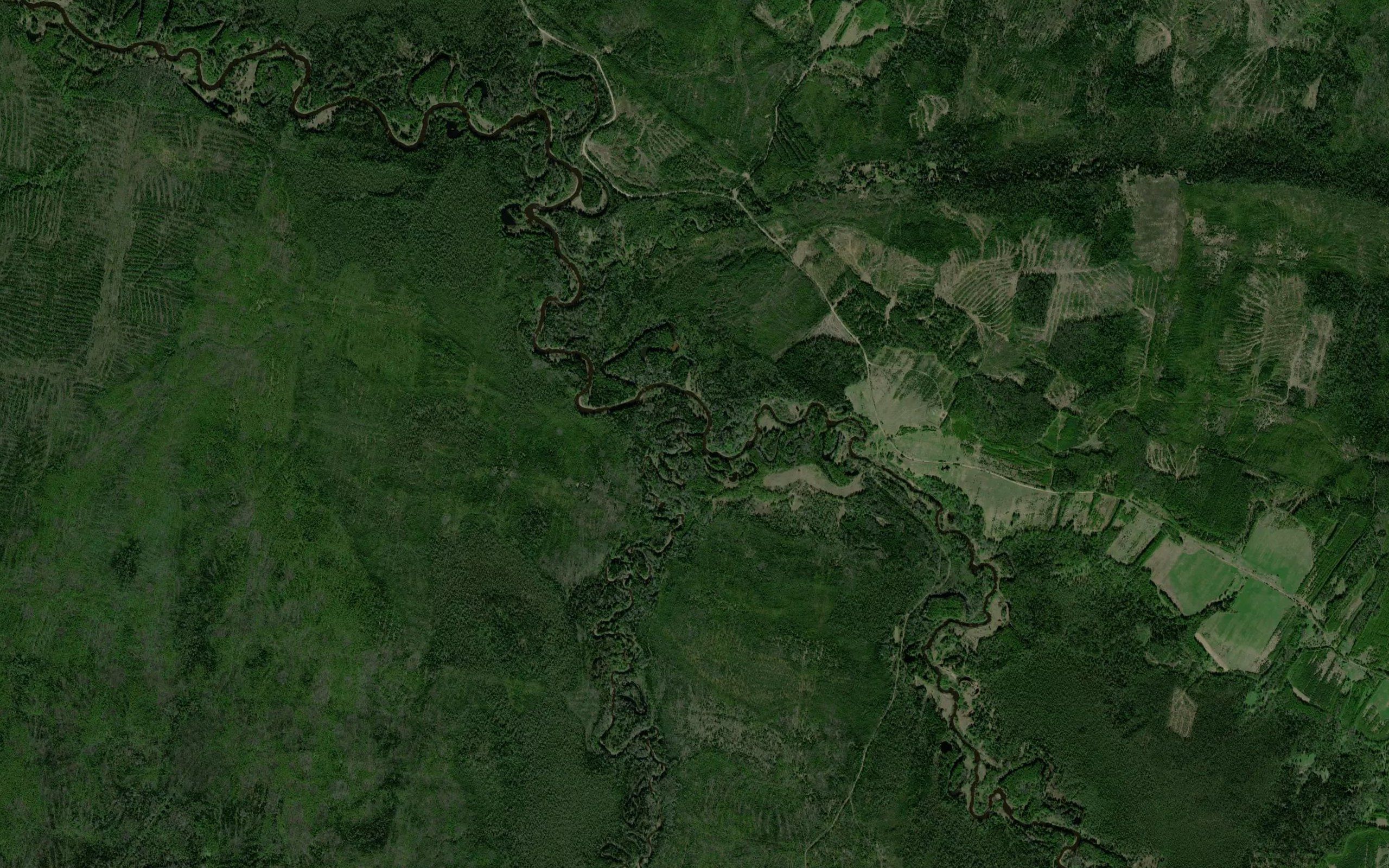 Tamyshevka
