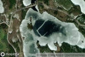 Silvonselka