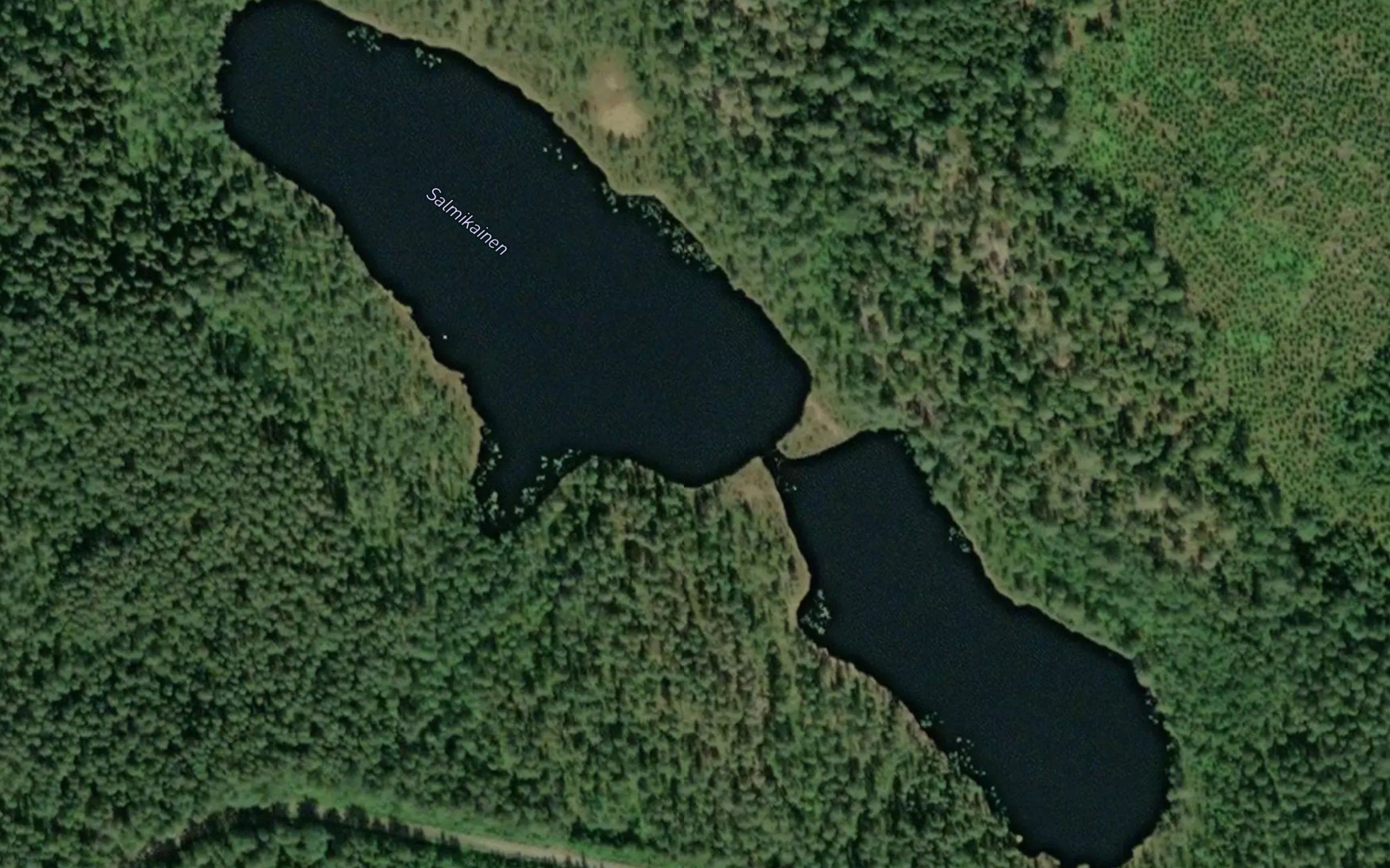 Salmikainen