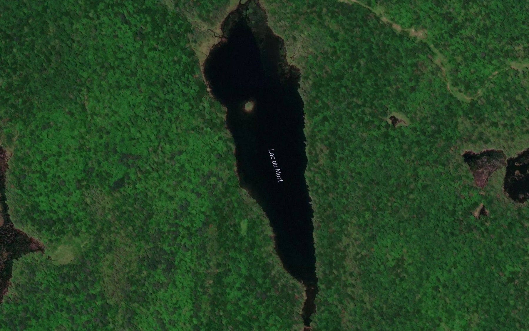 Satellite map of the Lac du Mort