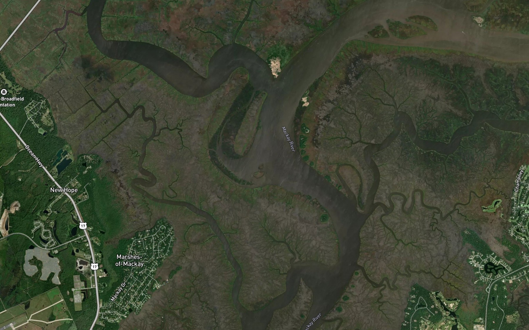 Satellite map of the South Altamaha River