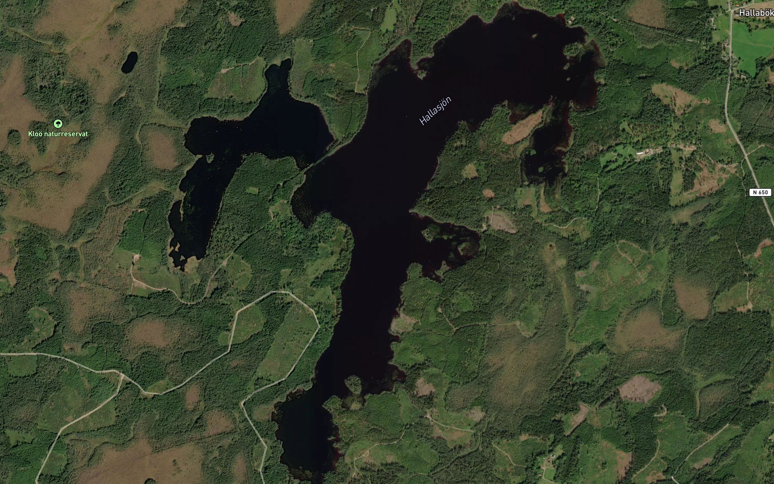 Hallasjoen